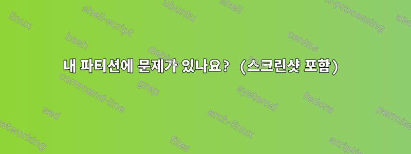 내 파티션에 문제가 있나요? (스크린샷 포함)