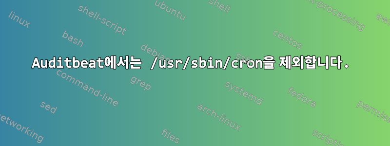 Auditbeat에서는 /usr/sbin/cron을 제외합니다.