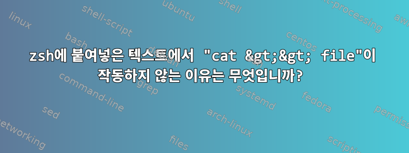 zsh에 붙여넣은 텍스트에서 "cat &gt;&gt; file"이 작동하지 않는 이유는 무엇입니까?