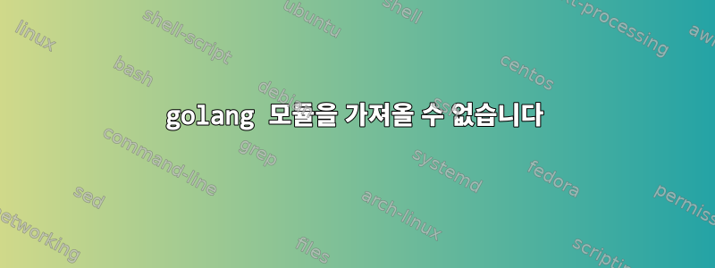 golang 모듈을 가져올 수 없습니다