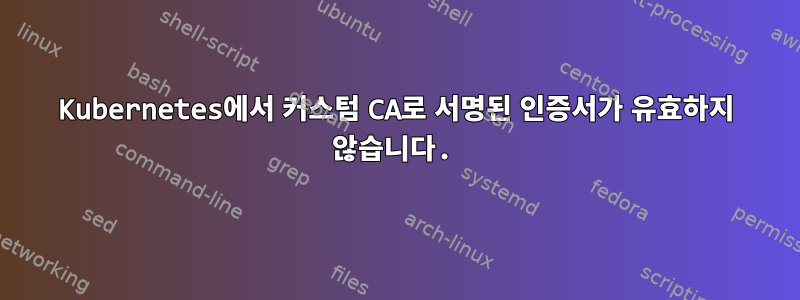 Kubernetes에서 커스텀 CA로 서명된 인증서가 유효하지 않습니다.