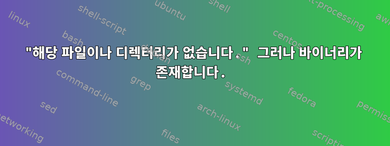 "해당 파일이나 디렉터리가 없습니다." 그러나 바이너리가 존재합니다.