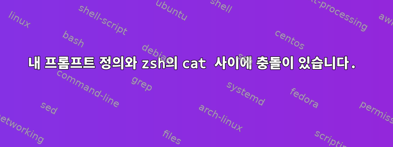 내 프롬프트 정의와 zsh의 cat 사이에 충돌이 있습니다.