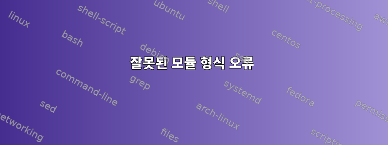 잘못된 모듈 형식 오류