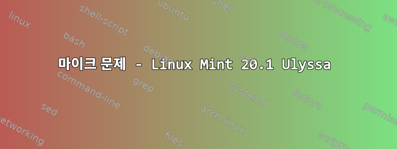 마이크 문제 - Linux Mint 20.1 Ulyssa