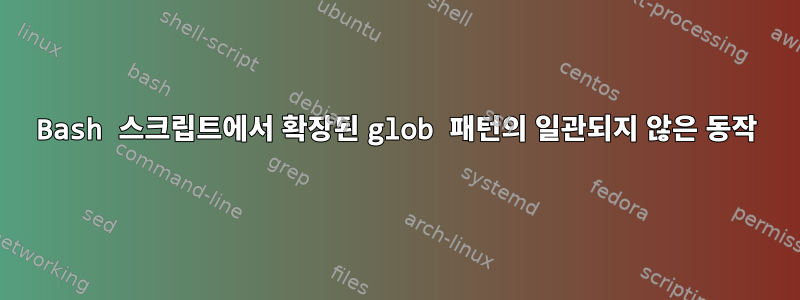 Bash 스크립트에서 확장된 glob 패턴의 일관되지 않은 동작