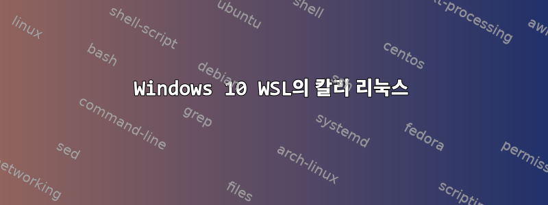 Windows 10 WSL의 칼리 리눅스