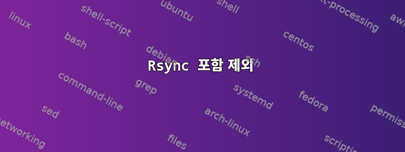 Rsync 포함 제외