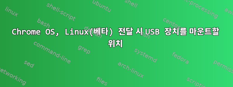 Chrome OS, Linux(베타) 전달 시 USB 장치를 마운트할 위치