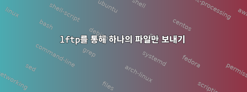 lftp를 통해 하나의 파일만 보내기