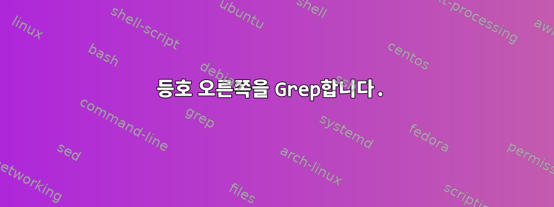 등호 오른쪽을 Grep합니다.