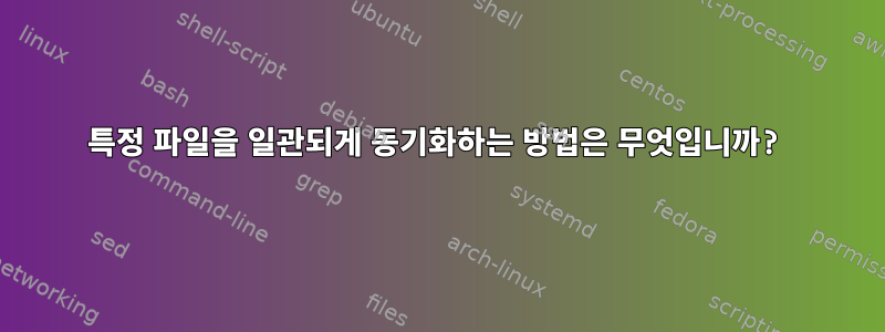 특정 파일을 일관되게 동기화하는 방법은 무엇입니까?