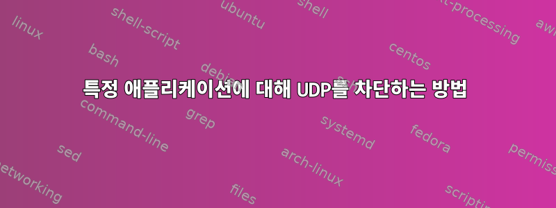 특정 애플리케이션에 대해 UDP를 차단하는 방법