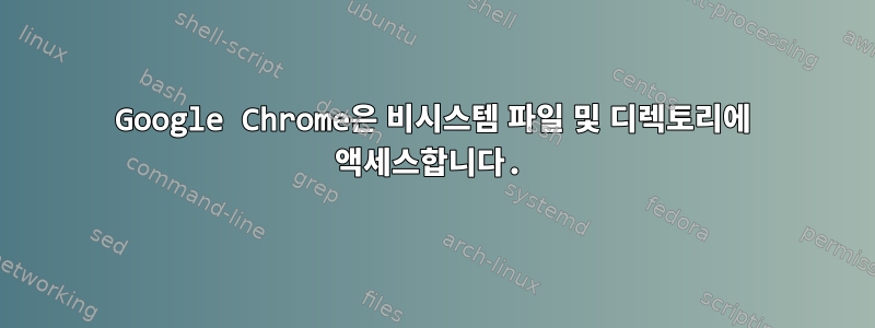 Google Chrome은 비시스템 파일 및 디렉토리에 액세스합니다.