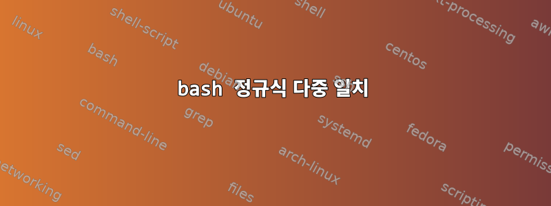 bash 정규식 다중 일치