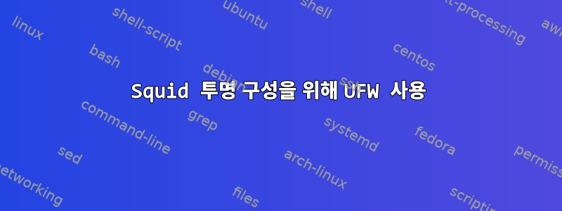 Squid 투명 구성을 위해 UFW 사용