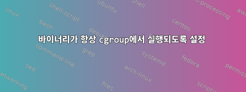 바이너리가 항상 cgroup에서 실행되도록 설정