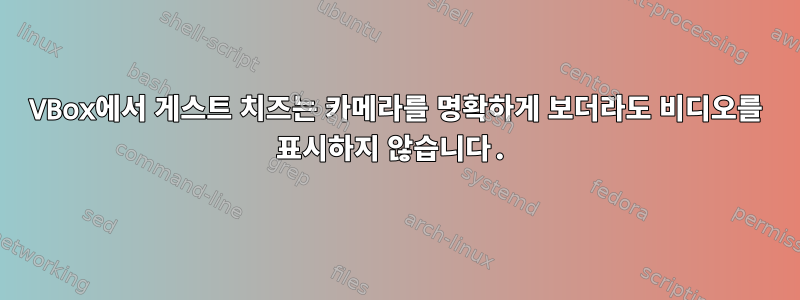 VBox에서 게스트 치즈는 카메라를 명확하게 보더라도 비디오를 표시하지 않습니다.