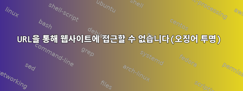 URL을 통해 웹사이트에 접근할 수 없습니다(오징어 투명)