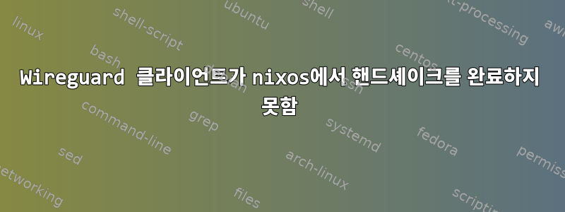 Wireguard 클라이언트가 nixos에서 핸드셰이크를 완료하지 못함