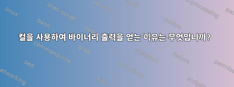 컬을 사용하여 바이너리 출력을 얻는 이유는 무엇입니까?