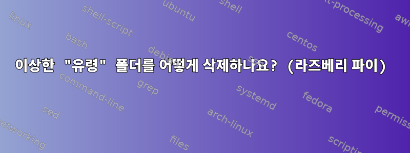 이상한 "유령" 폴더를 어떻게 삭제하나요? (라즈베리 파이)