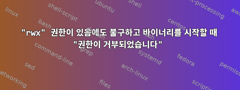 "rwx" 권한이 있음에도 불구하고 바이너리를 시작할 때 "권한이 거부되었습니다"