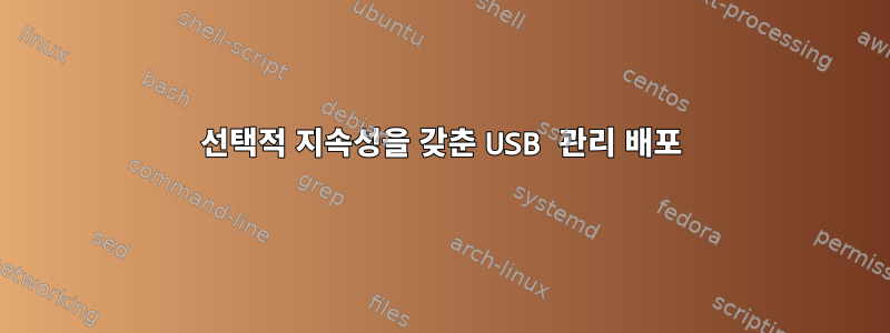 선택적 지속성을 갖춘 USB 관리 배포