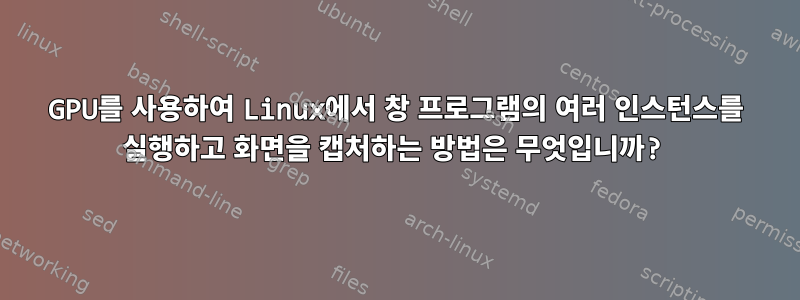 GPU를 사용하여 Linux에서 창 프로그램의 여러 인스턴스를 실행하고 화면을 캡처하는 방법은 무엇입니까?