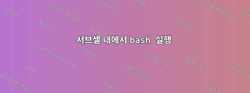 서브셸 내에서 bash 실행