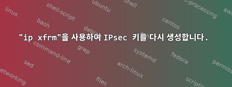 "ip xfrm"을 사용하여 IPsec 키를 다시 생성합니다.