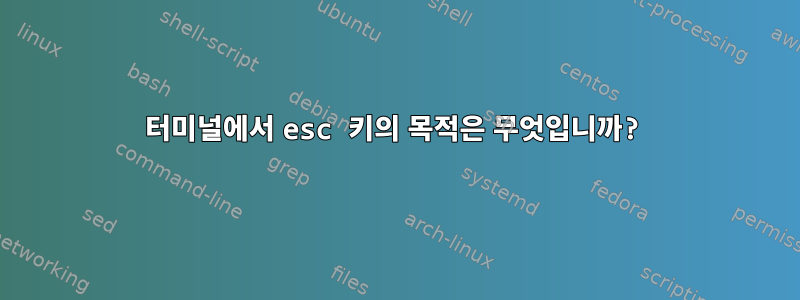 터미널에서 esc 키의 목적은 무엇입니까?