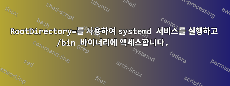 RootDirectory=를 사용하여 systemd 서비스를 실행하고 /bin 바이너리에 액세스합니다.