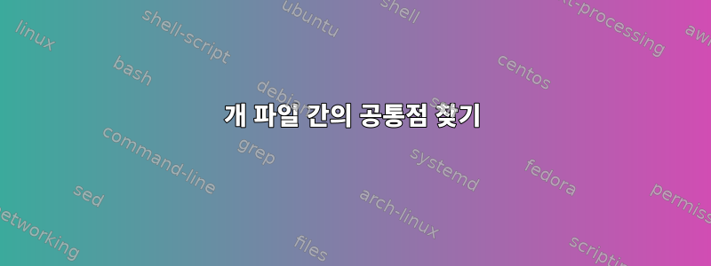 6개 파일 간의 공통점 찾기