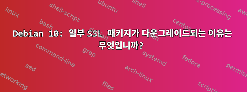 Debian 10: 일부 SSL 패키지가 다운그레이드되는 이유는 무엇입니까?