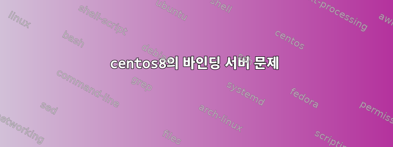 centos8의 바인딩 서버 문제