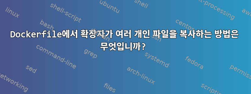 Dockerfile에서 확장자가 여러 개인 파일을 복사하는 방법은 무엇입니까?