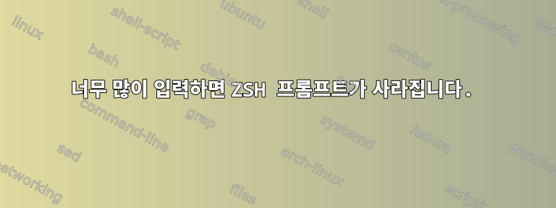 너무 많이 입력하면 ZSH 프롬프트가 사라집니다.