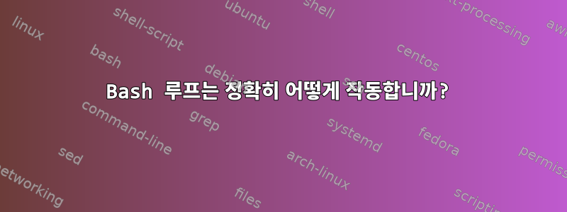 Bash 루프는 정확히 어떻게 작동합니까?