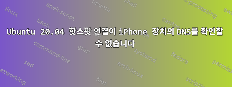 Ubuntu 20.04 핫스팟 연결이 iPhone 장치의 DNS를 확인할 수 없습니다