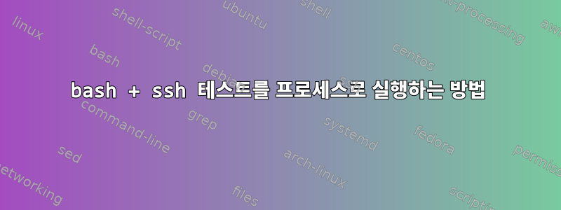 bash + ssh 테스트를 프로세스로 실행하는 방법