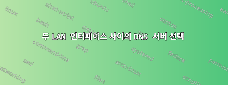 두 LAN 인터페이스 사이의 DNS 서버 선택