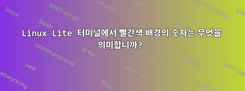 Linux Lite 터미널에서 빨간색 배경의 숫자는 무엇을 의미합니까?