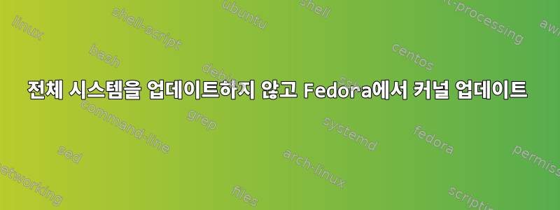 전체 시스템을 업데이트하지 않고 Fedora에서 커널 업데이트