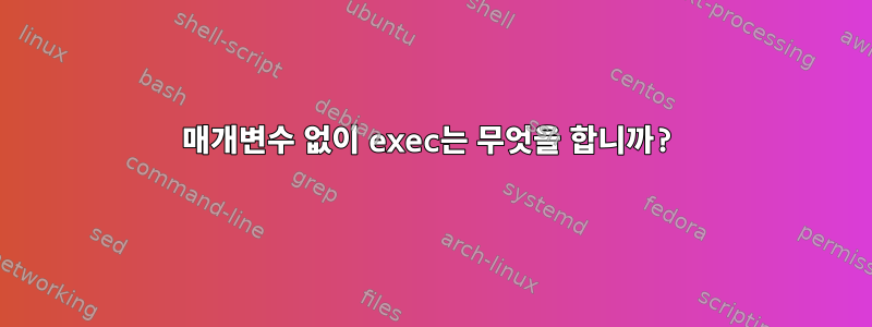 매개변수 없이 exec는 무엇을 합니까?