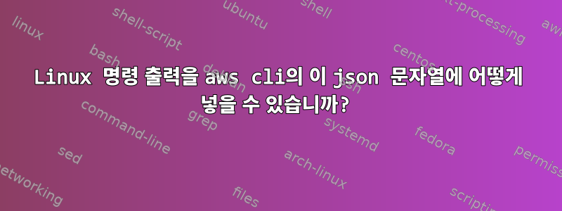 Linux 명령 출력을 aws cli의 이 json 문자열에 어떻게 넣을 수 있습니까?