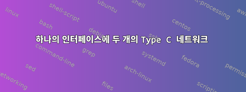 하나의 인터페이스에 두 개의 Type C 네트워크