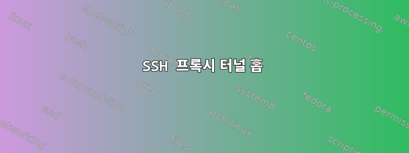 SSH 프록시 터널 홉