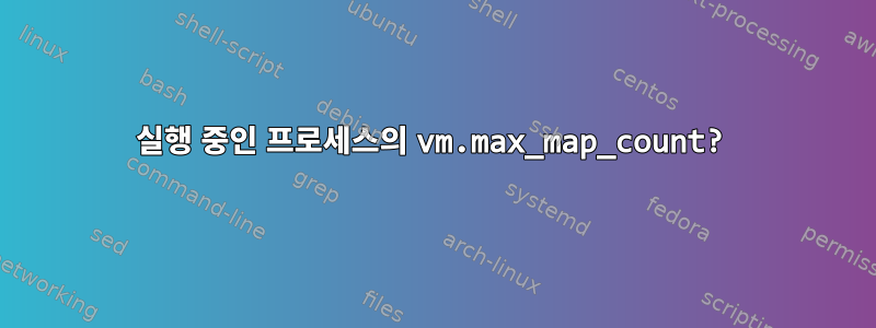 실행 중인 프로세스의 vm.max_map_count?