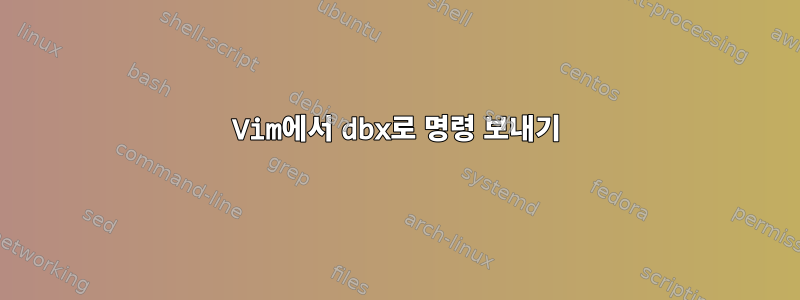 Vim에서 dbx로 명령 보내기